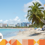 Coqueirais fazendo sombra na areia da Praia de Ponta Verde