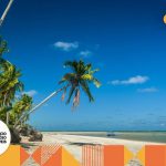 são miguel dos milagres coqueiro fazendo sombra na praia.