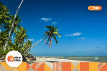 são miguel dos milagres coqueiro fazendo sombra na praia.